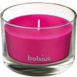Lumanare parfumata Bolsius Jar True Scents 50/80 mm, bujor