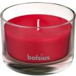 Lumanare parfumata Bolsius Jar True Scents 50/80 mm, Rodie