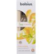 Odorizant cu betisoare Bolsius True Scents Mango si Bergamota, 45ml 