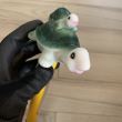 Termometru plutitor pentru piscine Strend Pro Turtle, 0-50°C