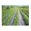 Plasa contra buruienilor, densitate 50 g/m2, dimensiune 0.9x10 m, neagra, tesuta