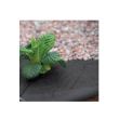 Folie antiburuieni, Strend Pro Garden B1303, densitate 50 g/m2, dimensiune 1.6x5 m, neagra, netesuta