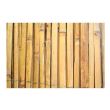 Panou de gard din bambus Strend Pro BSF, 1.5x5 m
