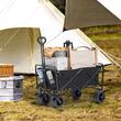 Carucior pliabil pentru gradina, camping, 955x900x600 mm, Capacitate 160 kg, Otel/Nylon