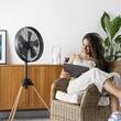 Ventilator retro cu trepied, 50 W, 3 x viteze, Reglabil inaltime, functie oscilatie, Negru/maro