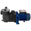 Pompa pentru piscina cu filtru detasabil, 750 W, Debit 15000 l/h, 3450 rpm