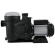 Pompa pentru piscina cu filtru detasabil, 750 W, Debit 19200 l/h, 3450 rpm, inaltime pompare 16 m