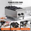 Aragaz profesional cu gaz, 2 Arzatoare, Inox si Fonta, 14 kW, dimensiune 305 x 770 x 335 mm