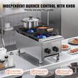 Aragaz profesional cu gaz, 2 Arzatoare, Inox si Fonta, 14 kW, dimensiune 305 x 770 x 335 mm