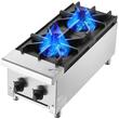 Aragaz profesional cu gaz, 2 Arzatoare, Inox si Fonta, 14 kW, dimensiune 305 x 770 x 335 mm