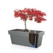 Sistem de irigatie pentru ghivece Prosperplast Cube&Tubus, 340x129x45 mm