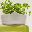 Ghiveci decorativ Coubi DKN3001, capacitate 3 L, Alb