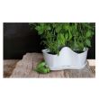 Ghiveci decorativ Coubi DKN3001, capacitate 3 L, Alb