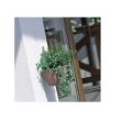 Ghiveci suspendat Strend Pro Mocca DRLW240, 4.85L, culoare crem, imitatie rattan