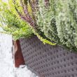 Ghiveci dreptunghiular Strend Pro Ratolla Self-Watering 500PWDRL, cu tava si carlige, 12L
