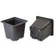 Set 10 pahare pentru rasaduri, Strend Pro patrat 8x8x7cm