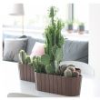 Ghiveci decorativ Boardee Case 587x144x130 mm, maro