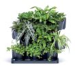 Set 12 ghivece decorative, Cascade Green, modular, antracit, 12x0.75 L, 68.5x19x54.6 cm