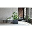 Ghiveci decorativ Urbi Case Grey, 580x180x498 mm
