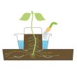 Ghiveci cu auto-irigare pentru rosii sau legume, Strend Pro GDA Harvester, verde, 27x15 cm