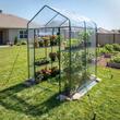 Sera walk-in, 2 x niveluri, 10 x rafturi, capac PVC, usa cu fermoar, cadru otel, 137 x 137 x 196 cm