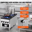Aragaz profesional, 2 Arzatoare, Inox si Fonta, 52 kW, dimensiune 460 x 1170 x 610 mm