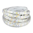 Banda led SMD5050 30LED/m, 6000K, IP65, 5m, 500 lm/m, 4.8W/m
