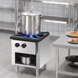 Aragaz profesional, 1 x Arzator, Inox si Fonta, 26 kW, dimensiune 460 x 620 x 615 mm
