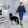Cada pentru animale de companie All-in-One, Inox, Accesorii complete dus, baterie, Scara 3 trepte, max 100 kg, 966x1220x622 mm, deschidere usa pe stanga