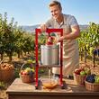 Presa hidraulica pentru struguri/fructe moi, Inox, Volum 30 l, 2 x saci filtrant, picioare reglabile