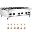 Aragaz profesional, 6 Arzatoare, Inox si Fonta, 42 kW BTU, dimensiune 915 x 775 x 335 mm