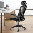 Scaun de birou ergonomic, max 130 kg, suport lombar reglabil, Tetiera, 5 roti