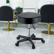 Scaun hidraulic pentru salon, max 180 kg, 5 roti, Reglabil inaltime