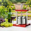 Presa manuala pentru struguri, citrice, vinete Vevor Inox, capacitate 5.5 l, diametru cos 22 cm