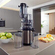 Storcator de fructe Slow juicer, Inox, 2 x viteze, 200 W, capacitate recipient 0.6 l