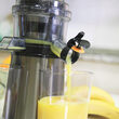 Storcator de fructe Slow juicer, Inox, 2 x viteze, 200 W, capacitate recipient 0.6 l