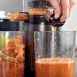 Storcator de fructe Slow juicer, Inox, 2 x viteze, 200 W, capacitate recipient 0.6 l
