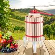 Presa manuala pentru struguri si fructe moi, Capacitate 18 l, Otel/Lemn fag, 640x370x705 mm