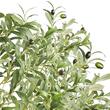 Maslin artificial, Inaltime 179 cm, Verde/Maro, PE si Inox, protectie anti-inclinare