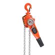 Palan manual cu lant, max 750 kg, Clichet dublu, Frana mecanica, Carlige rotative, Inaltime 6 m