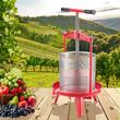Presa manuala pentru struguri si fructe moi, Capacitate 14 l, Inox/Fonta, 405x975 mm