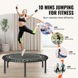 Trambulina fitness, Pliabila, max 150 kg, cadru Otel, 34 arcuri, Diametru 1027 mm