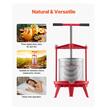Presa manuala pentru struguri si fructe moi, Capacitate 14 l, Inox/Fonta, 405x975 mm