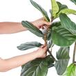 Smochin artificial, Inaltime 156 cm, Verde/Maro, PE si Inox, protectie anti-inclinare