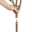 Smochin artificial, Inaltime 156 cm, Verde/Maro, PE si Inox, protectie anti-inclinare