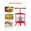 Presa manuala pentru struguri si fructe moi, Capacitate 9 l, Inox/Fonta, 405x705 mm