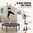 Trambulina fitness, Pliabila, max 100 kg, cadru Otel, 24 arcuri, Diametru 934 mm