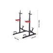 Suport haltere, Sarcina maxima 272 kg, dimensiune 1057x1140x1640 mm