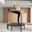 Trambulina fitness cu maner suport cu 4 niveluri de inaltime, Pliabila, max 150 kg, cadru Otel, 32 arcuri, Diametru 1016 mm