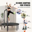 Trambulina fitness cu maner suport cu 4 niveluri de inaltime, Pliabila, max 150 kg, cadru Otel, 32 arcuri, Diametru 1016 mm